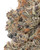 Close up of a dense Lemon Cherry Gelato cannabis bud featuring deep forest-green leaves, interwoven with dark purple hues and bright orange pistils, heavily coated in glistening, frosty white trichomes
