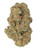 A dense Lemon Drop cannabis bud with green leaves, orange hairs, and frosty trichomes.