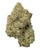 A dense Gorilla Glue #4 cannabis bud featuring bright forest green leaves and amber pistils, coated in a sparkling layer of white crystal trichomes 