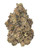 Super Fuel Indoor THCa Flower, dense green buds with orange hairs and frosty trichomes.