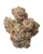 A dense Sour Garlic Cookies cannabis bud with olive green leaves and dark purple undertones, fiery orange pistils, and a frosty coating of resinous trichomes