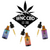 Tincture Bundle featuring CBDa, CBG, and CBN bottles with droppers, colorful labels, WNC CBD branding.