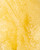 Peaches & Cream Badder (88.029% THCa)