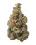 CBD Yak Butter Indoor Hemp Flower – dense green bud with orange hairs and frosty trichomes, 50/50 hybrid.