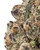 Close up of a dense Platinum Lemon Cherry Gelato cannabis bud featuring forest green leaves with deep purple hues, bright orange pistils, coated in crystalline trichomes