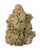 A dense Bubblegum cannabis bud, displaying vibrant green foliage intertwined with bright orange pistils and heavily coated in golden-white crystal trichomes 