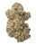 A dense Rainbow Inferno cannabis bud with light green leaves, dark purple hues, and orange pistils, coated in golden-white crystal trichomes 