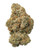 A dense Garlic Cheerios cannabis bud featuring forest green leaves and amber pistils, coated in a sparkling layer of white crystal trichomes 