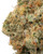 Close up of a dense Garlic Cheerios cannabis bud featuring forest green leaves and amber pistils, coated in a sparkling layer of white crystal trichomes 