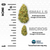 An image depicting the sizes of cannabis buds in both Smalls and Micros next to a 1 inch ruler with the text reading "Small buds are sorted through a 1/2 inch screen. Micros are sorted through a 1/4 inch screen. Actual bud size may vary."