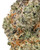 Close up of a dense Toasted Toffee cannabis bud featuring forest green leaves, bright orange pistils, and a heavy frost of crystalline trichomes
