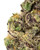 WNC x Karma THCa Flower