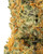 WNC x Karma THCa Flower