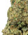 WNC x Karma THCa Flower