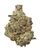 WNC x Karma THCa Flower