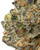 WNC x Karma THCa Flower