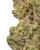 WNC x Karma THCa Flower
