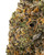 THCa Double Runtz Indoor Living Soil