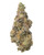  A dense Oregon Trail cannabis bud featuring forest green leaves with deep purple hues, bright orange pistils, coated in crystalline trichomes