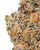 Close up of a dense Rocket Pop cannabis bud, displaying olive green and dark purple foliage intertwined with bright orange pistils and heavily coated in sparkling white crystal trichomes 
