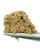 Raspberry OG Bubble Hash (85.604% THCa)