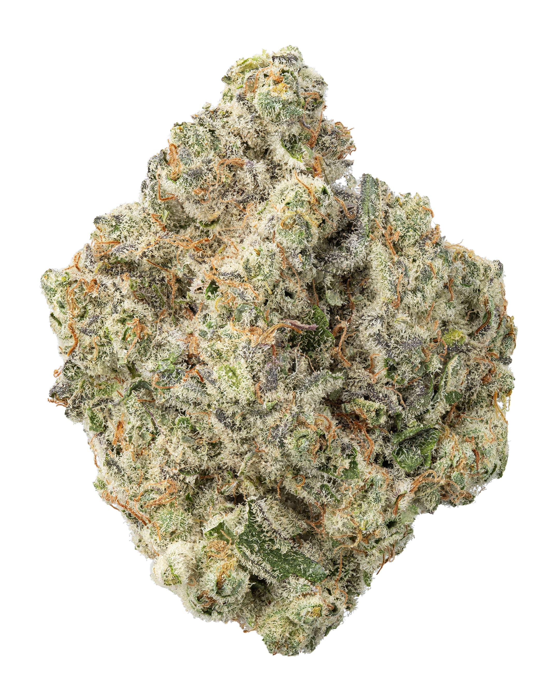 THCa Gush Mintz Indoor Living Soil – Relaxing Indica Hybrid with