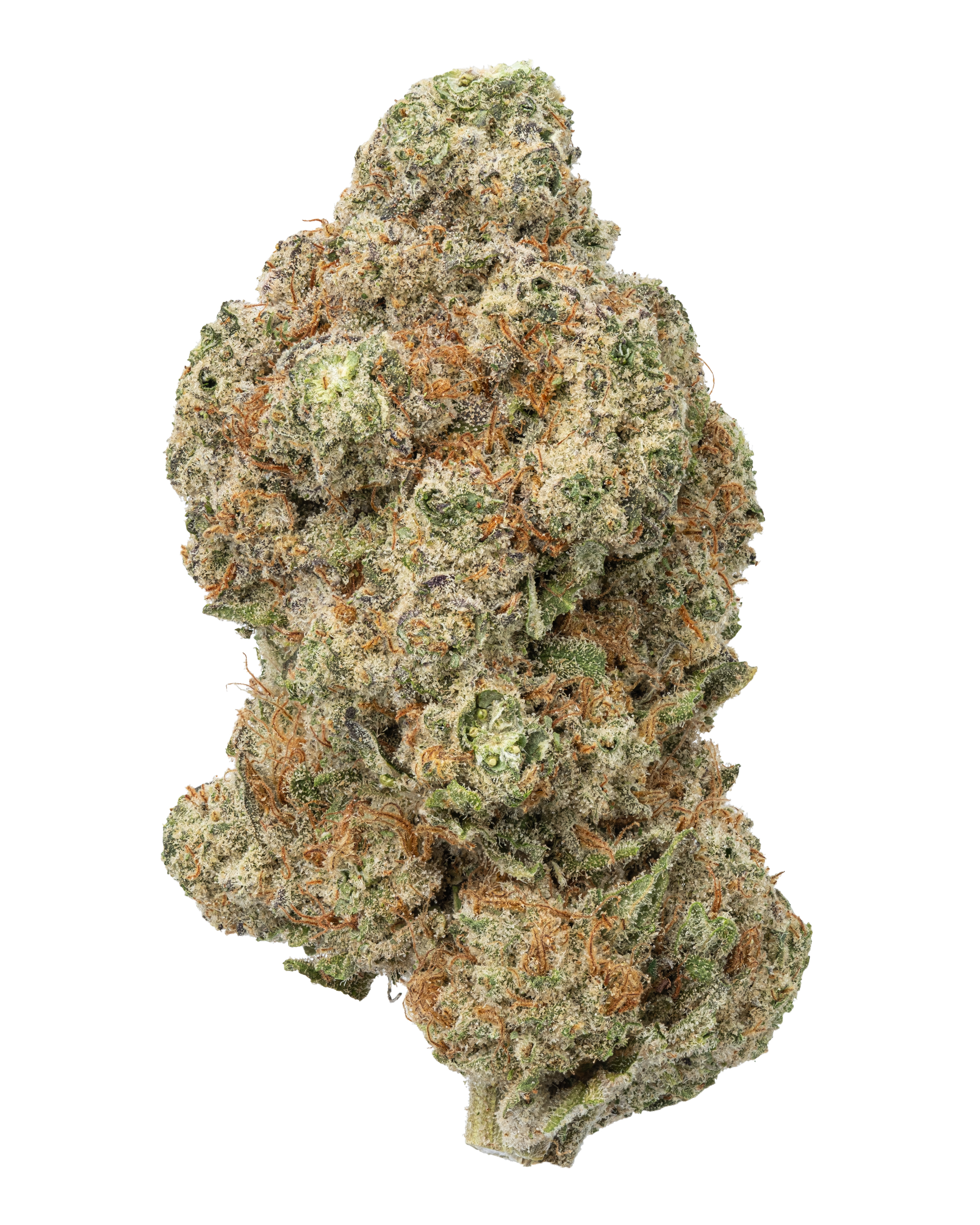 drt タイニークラッシュ Low Tribe Weed DRT タイニークラッシュ Lo TRIBE WEED Lost Tribe Marijuana