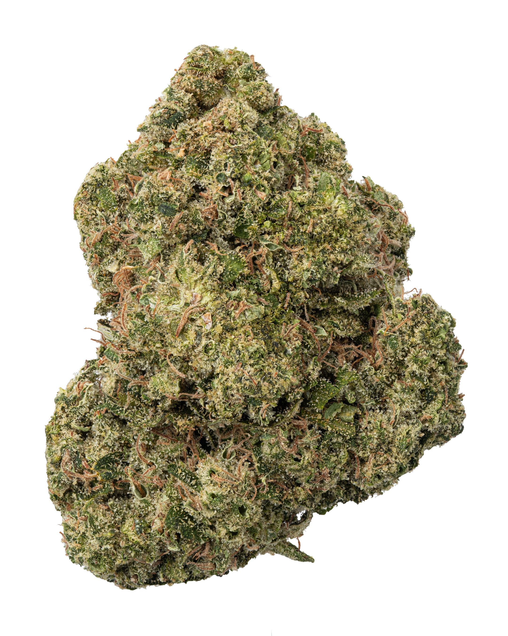 プレミアムCBNハーブ “Durban Poison” 3g & CBDハーブ プレミアムCBNハーブ “Durban Poison” 若い 3g & CBDハーブ