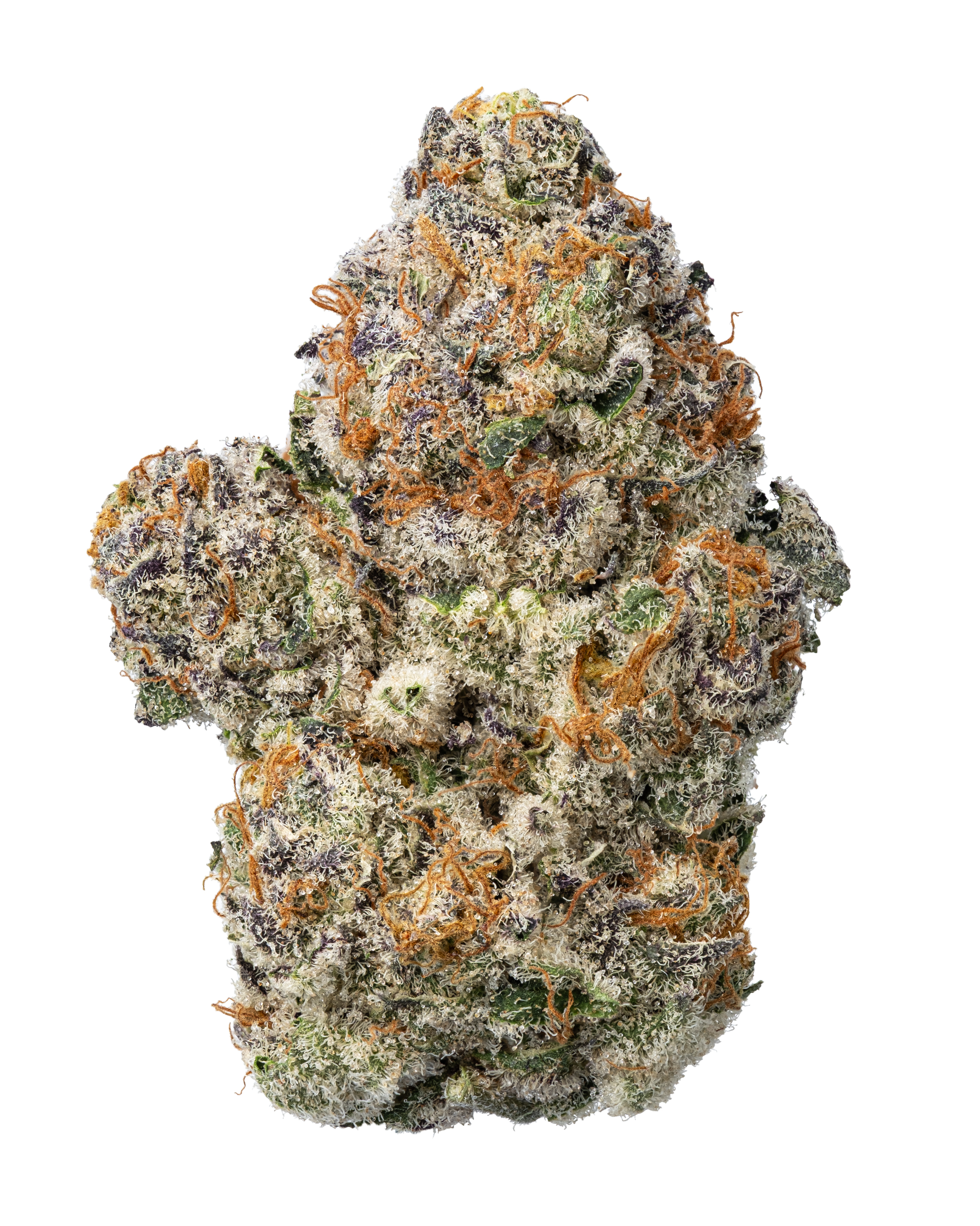 THCa Daywalker Diesel Indoor Hydro | WNC