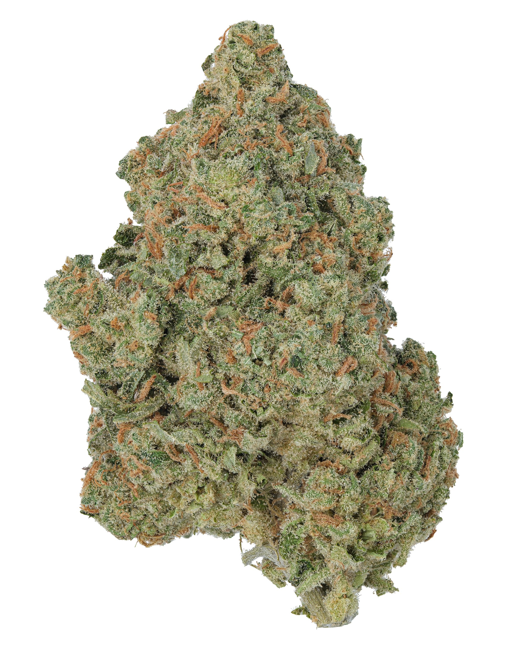 THCa Jack Herer Flower – Legendary Sativa | WNC CBD