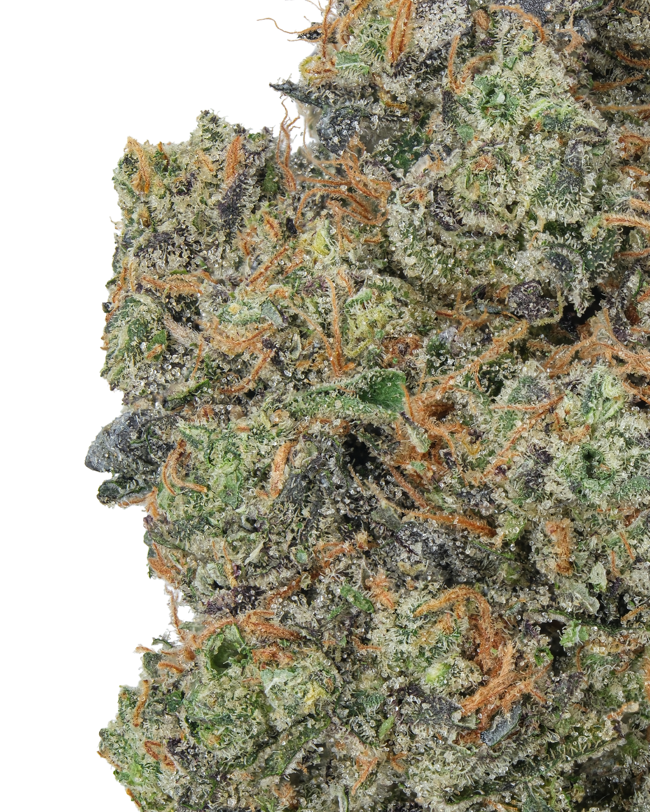 B.I.B.✴︎Insanely Rare✴︎極上 スムース Bomb THCa Glitter Bomb – Grape Gas Indica for Deep Relaxation | WNC CBD