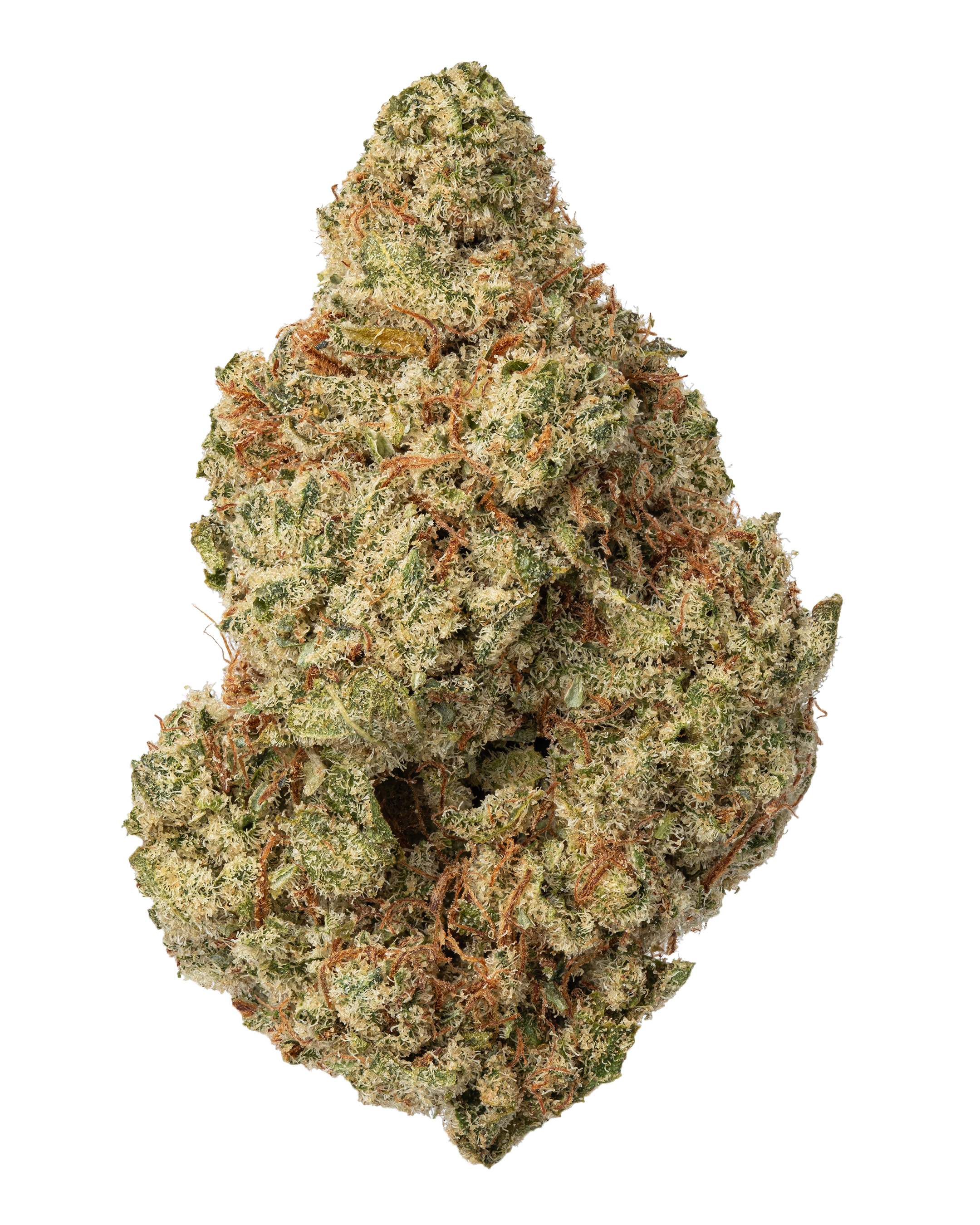 THCa Jack Herer Flower – Legendary Sativa | WNC CBD