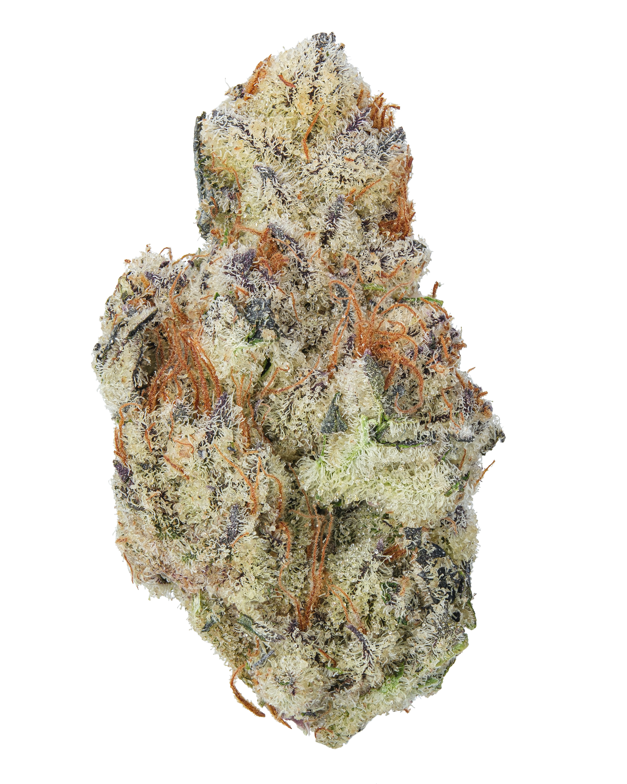 【Sativa】 Jack Herer 1ml CBD 10 Jack Herer Whole Hemp CBD Flower – Uplifting Sativa