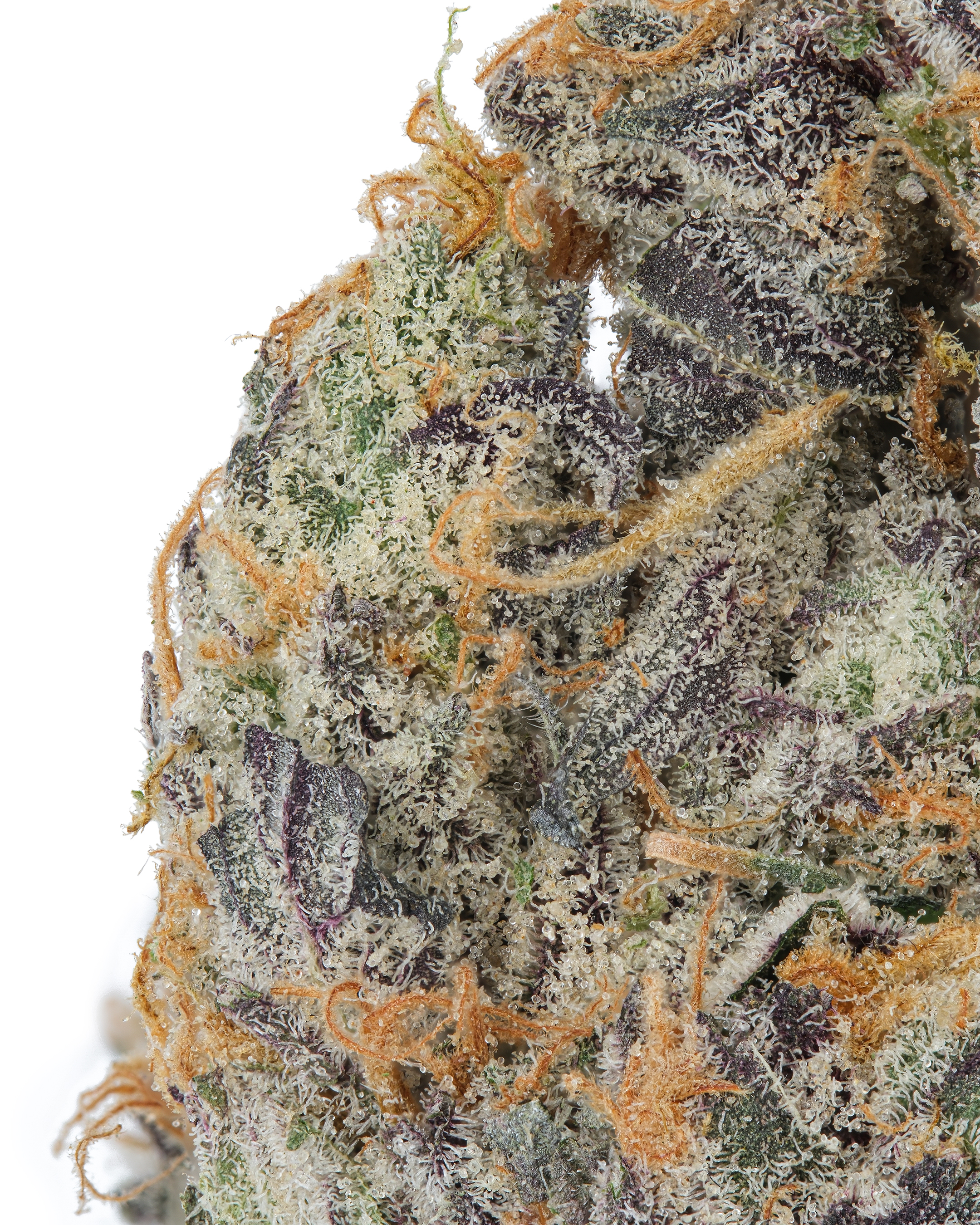 THXE 20%［1ml］OREOZ THCa Oreoz – Sweet & Creamy Indica Hybrid | WNC CBD