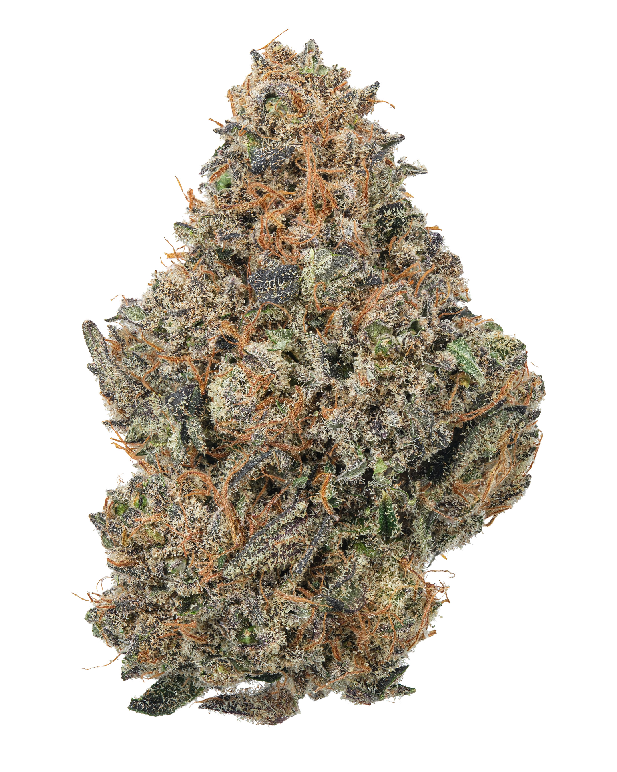 THCa Sherbz – Indica Flower | WNC CBD