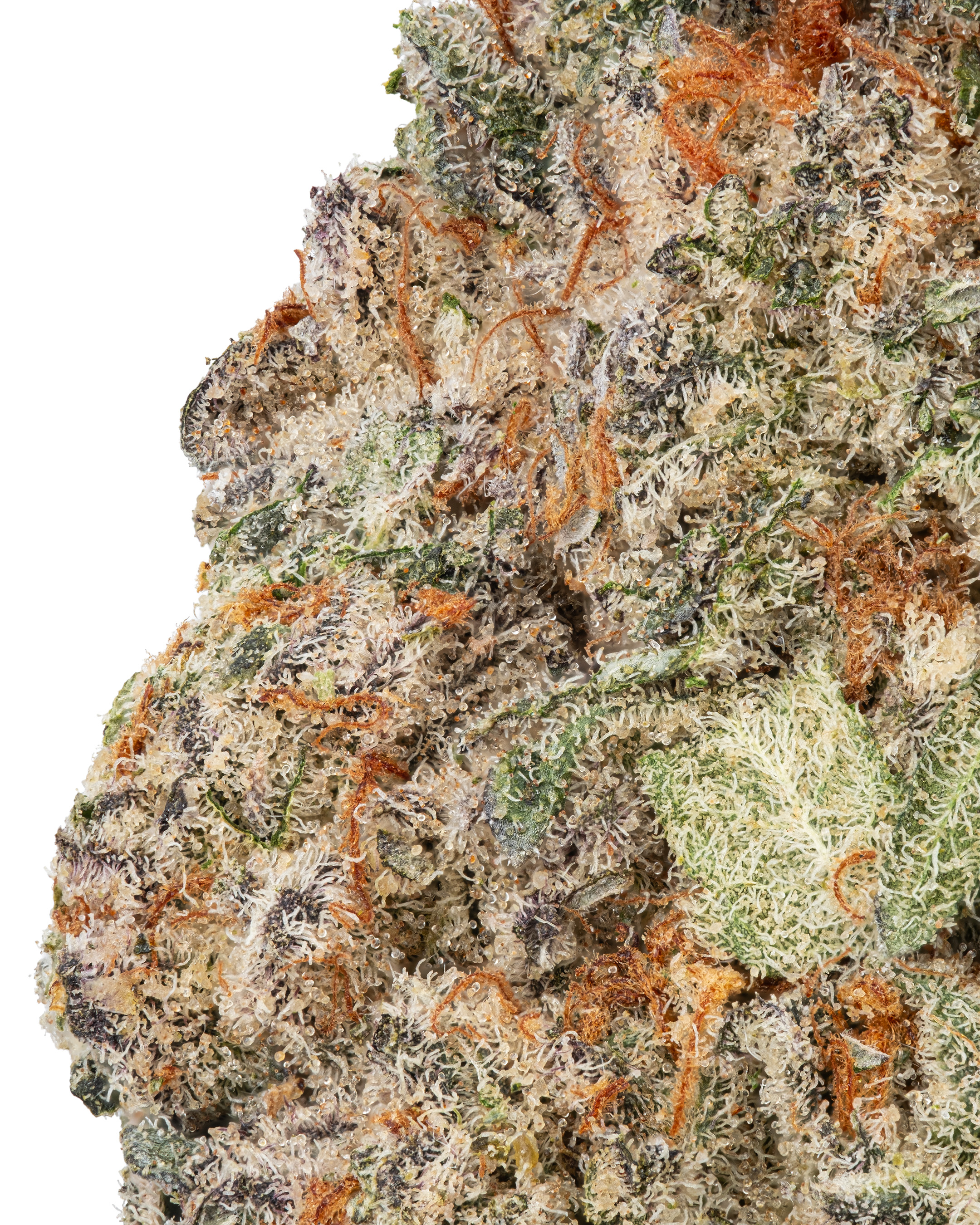 THCa Oreoz – Sweet & Creamy Indica Hybrid | WNC CBD