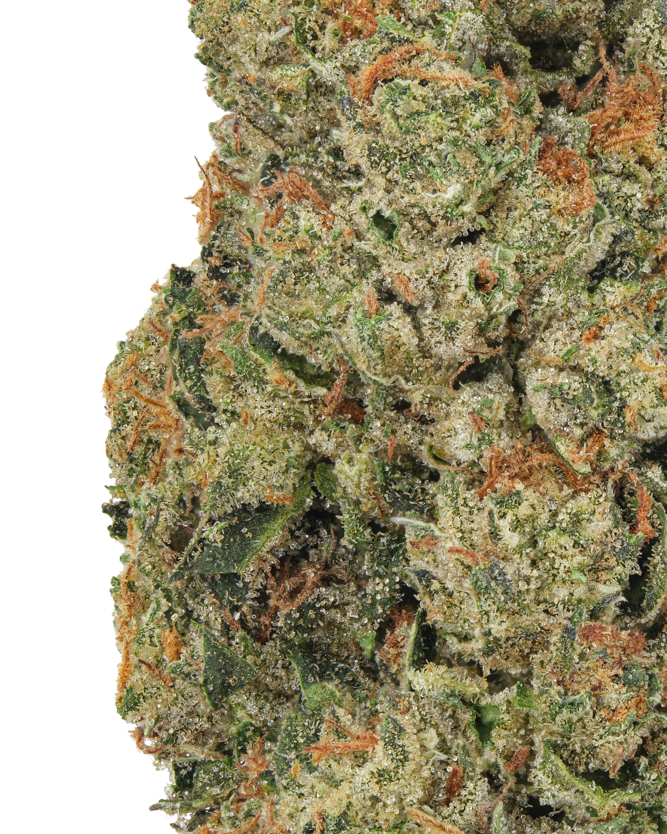 THCa Oreoz – Sweet & Creamy Indica Hybrid | WNC CBD
