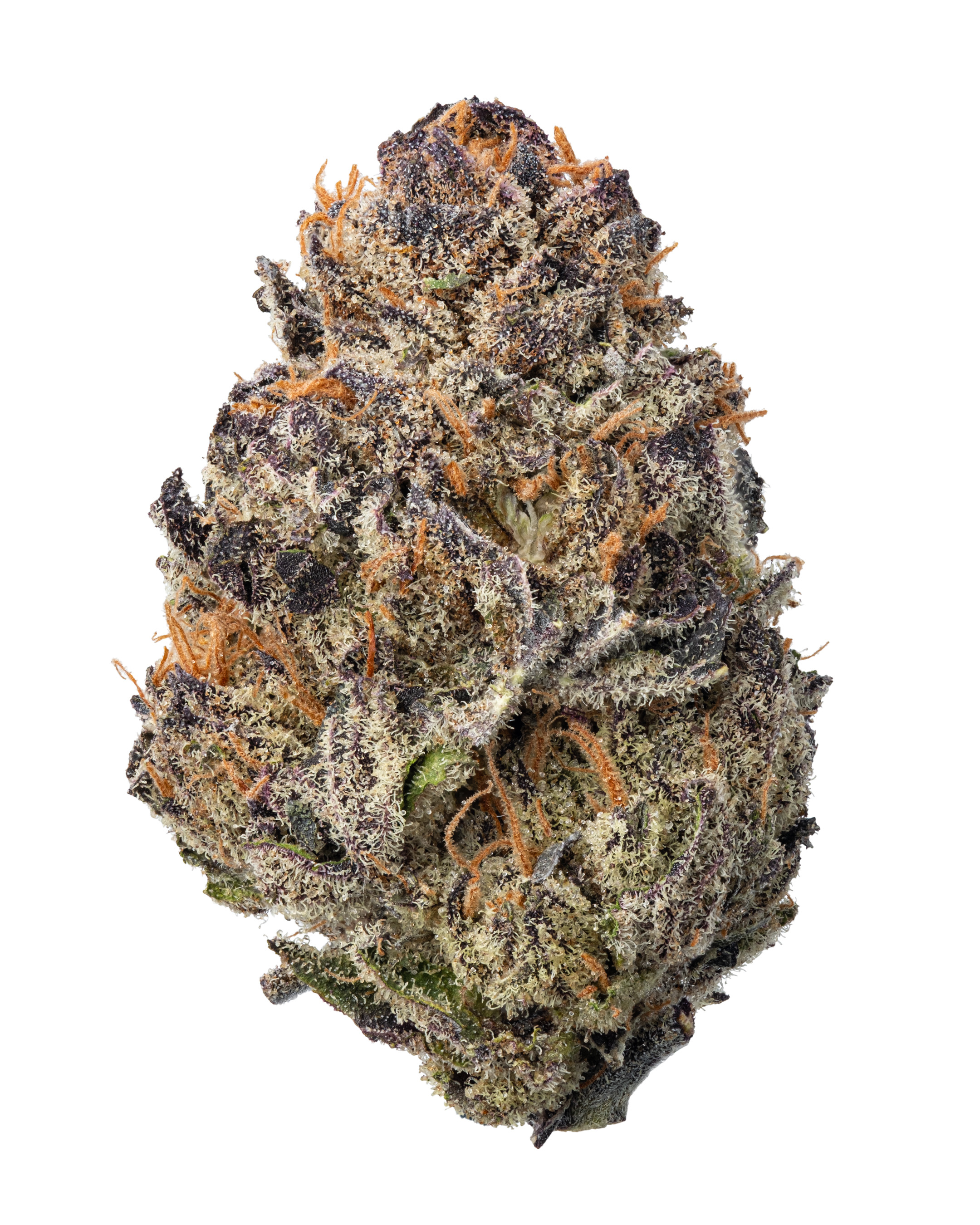 THCa Cereal Milk – Sweet Balanced Hybrid | WNC CBD