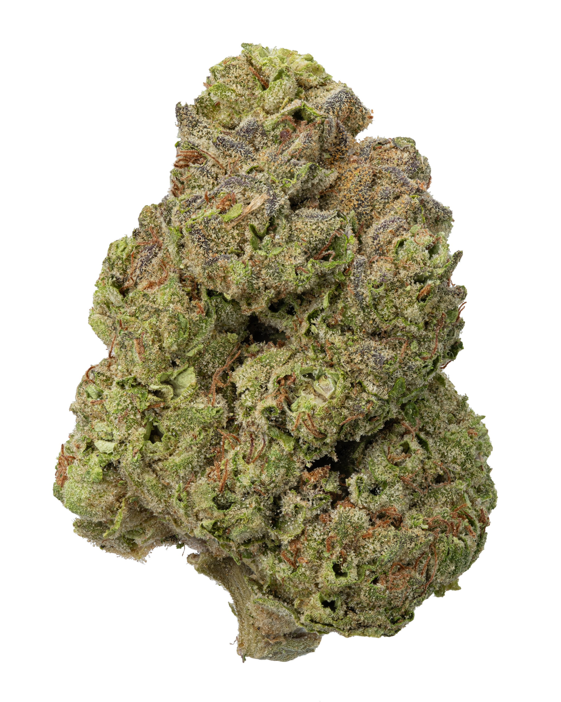 THCa Oreoz – Sweet & Creamy Indica Hybrid | WNC CBD