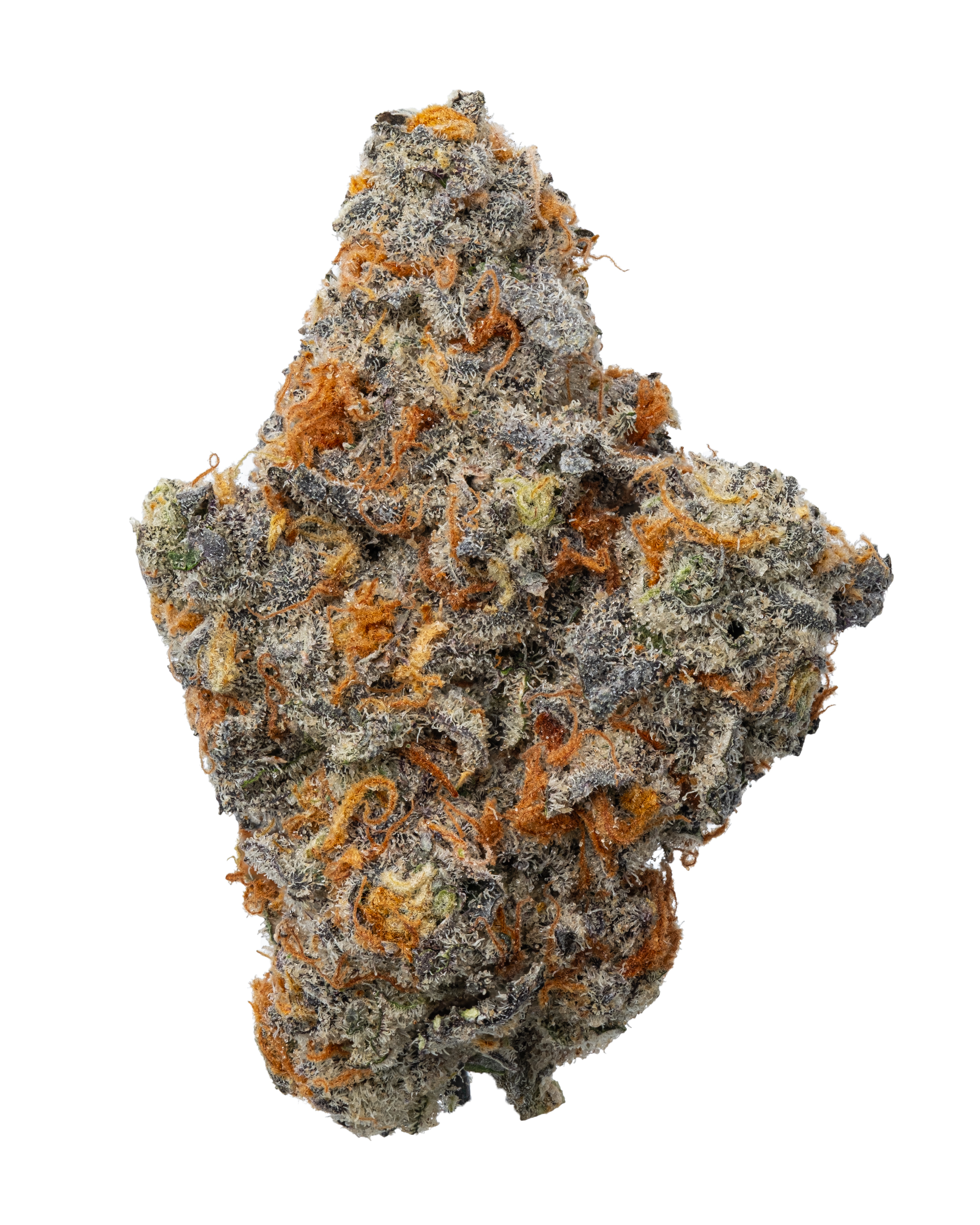 THXE 20%［1ml］OREOZ Original Oreoz Strain (Growers Choice) - Chocolate Flavor