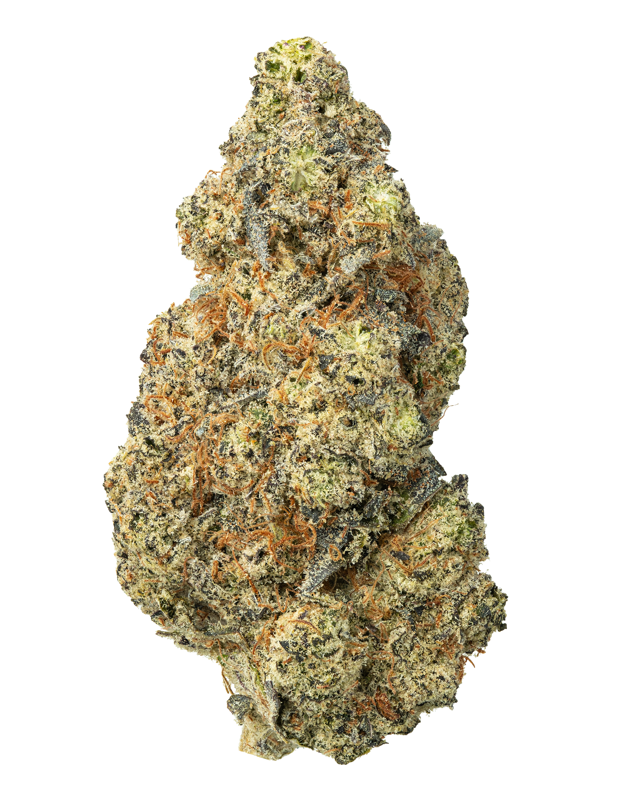 THCa Alaskan Thunder Fuck Indoor Hydro | WNC