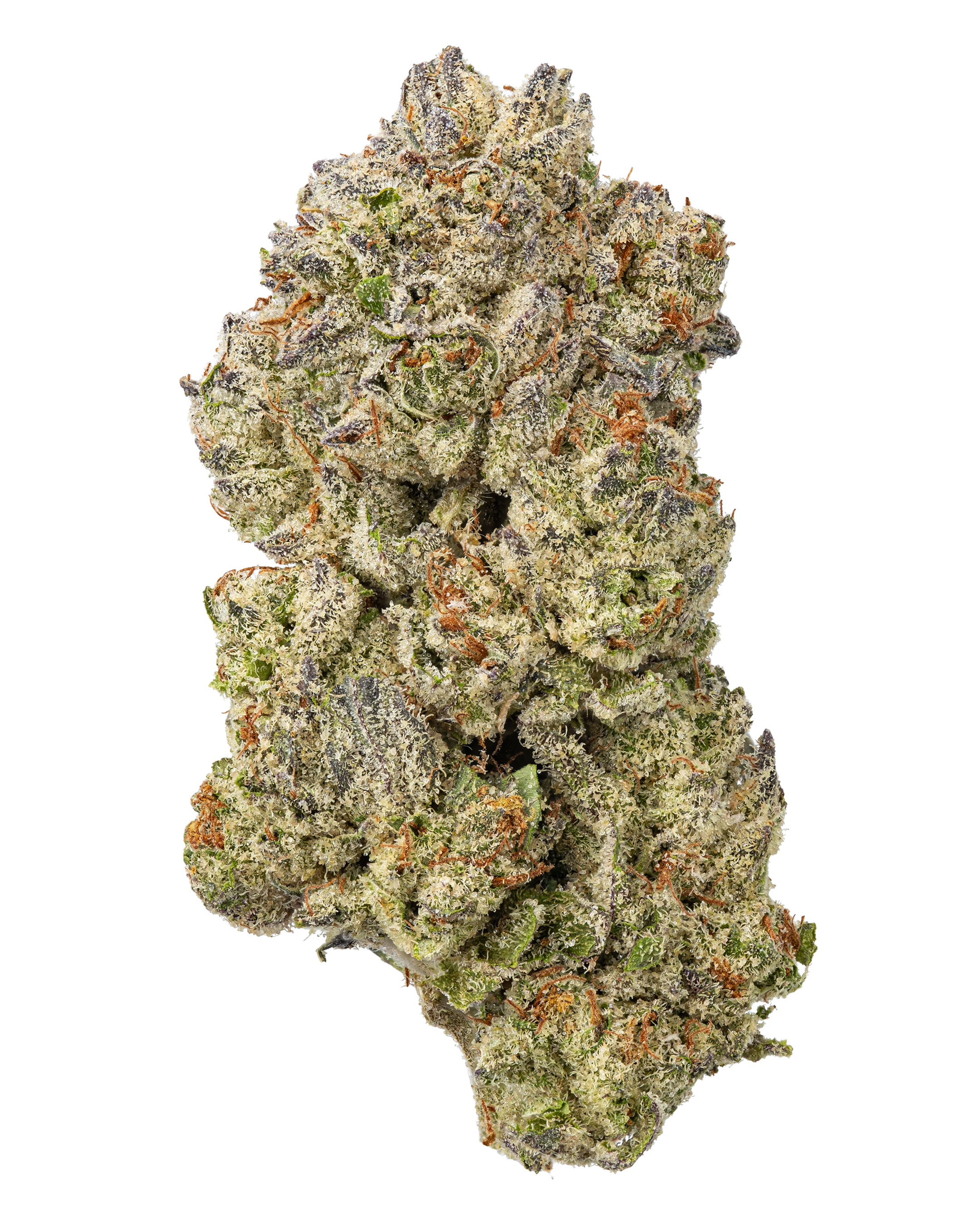 THCa OMG Indoor Living Soil – Potent Indica Flower | WNC CBD