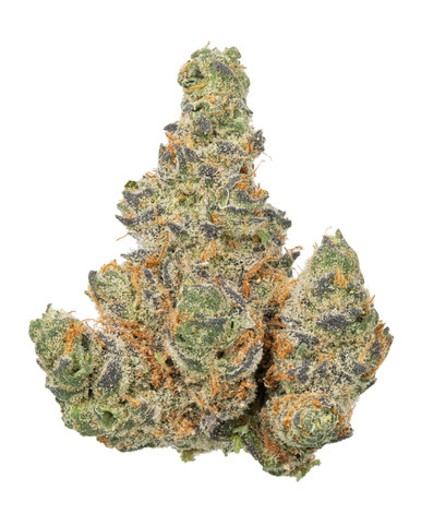 THC様確認用 ｺﾝﾊﾟｸﾄLEDﾋﾞｭｰﾜｰ用ﾌﾞﾗｯｸﾎﾞｯｸｽ BB-1 1台 26957｜総合的理化学機器商社