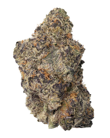 Trop_Gelato_-_1__55803.