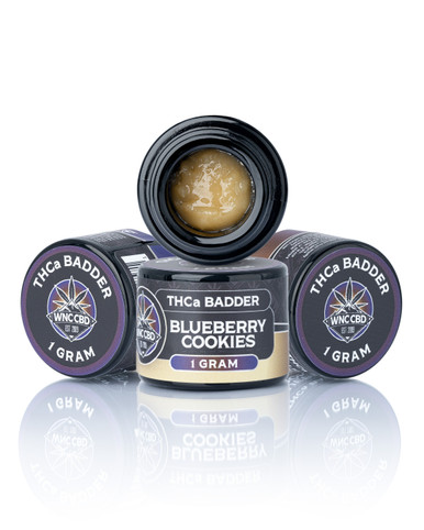 Blueberry_Cookies_-_1__94852.
