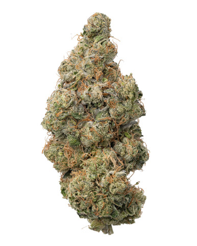 THCa Black Maple Flower – Indoor Hybrid | WNC CBD