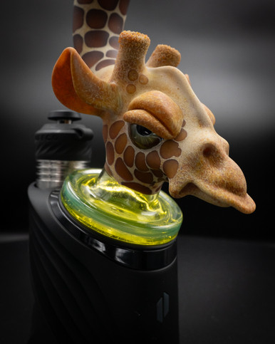 WNC-Robertson-Giraffe-