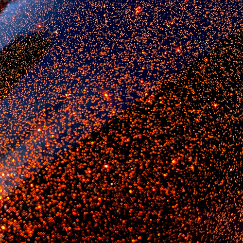 Oracal 851 Sparkling Glitter Metallic - Sinister Orange