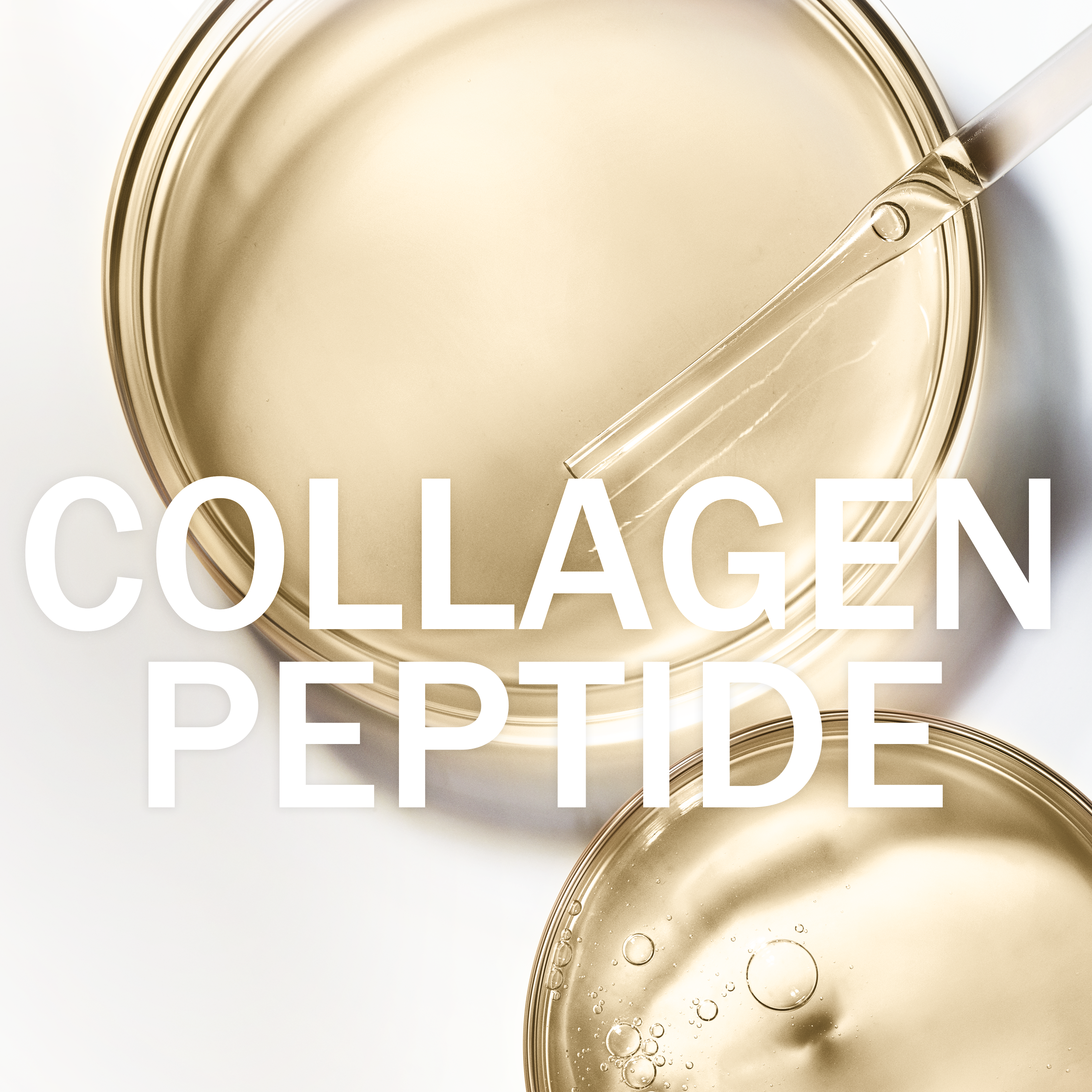 All About Collagen Peptides
