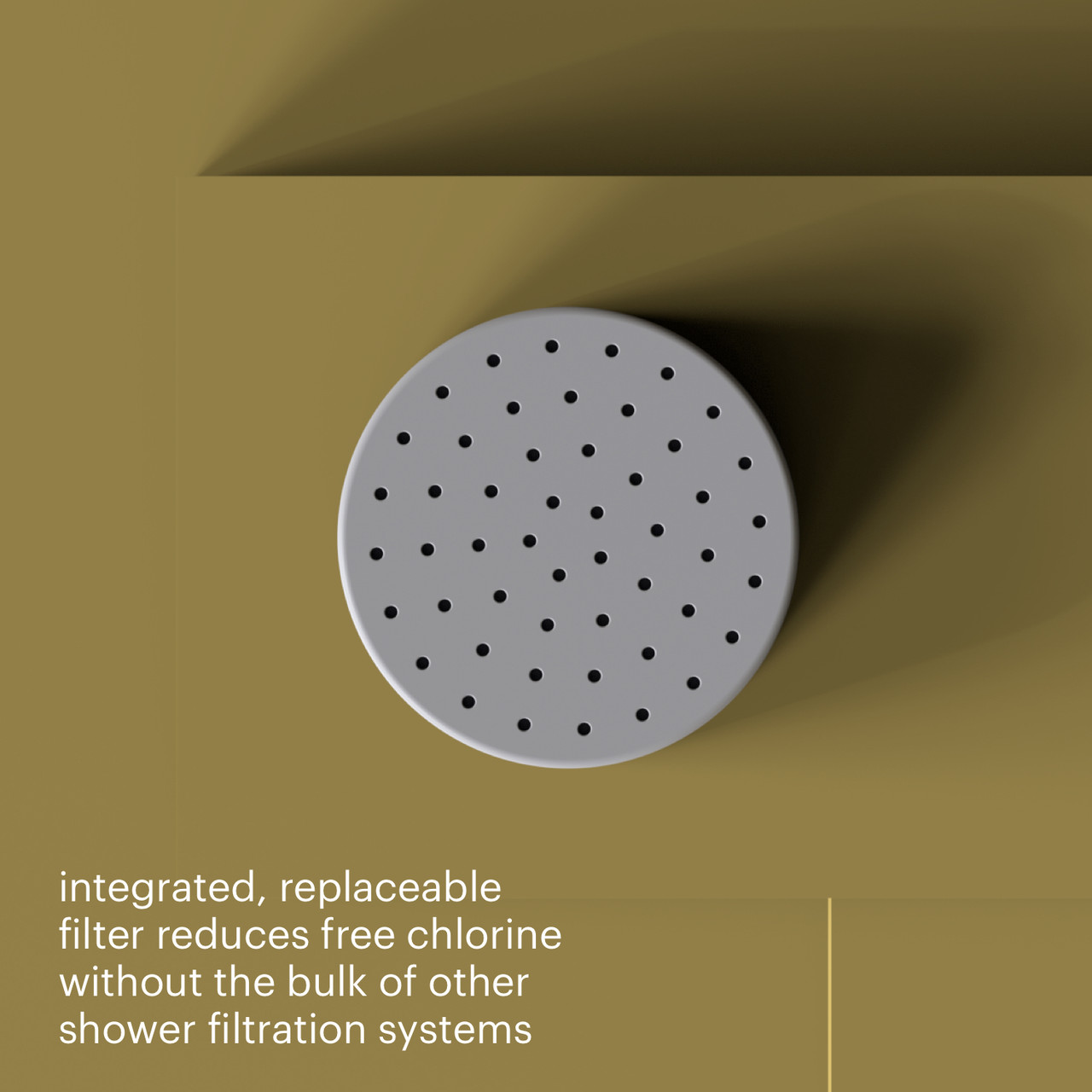 VivaSpring Filtered Shower Head Brondell